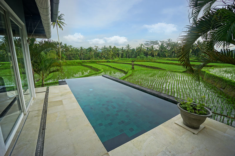 Dont+Pee+in+the+Pool